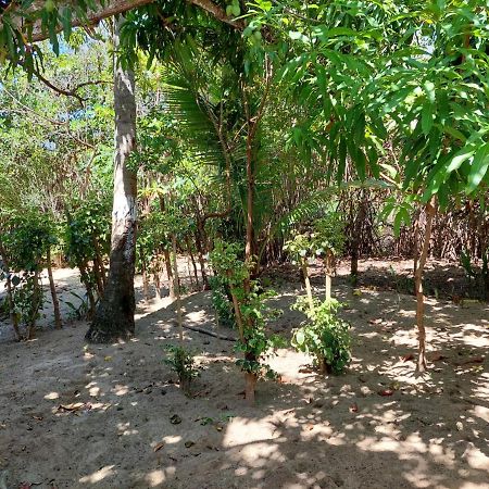 Cabana Playa Cambiaso Bed & Breakfast Puerto Plata Exterior photo