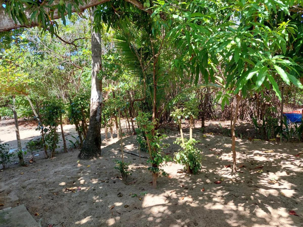 Cabana Playa Cambiaso Bed & Breakfast Puerto Plata Exterior photo